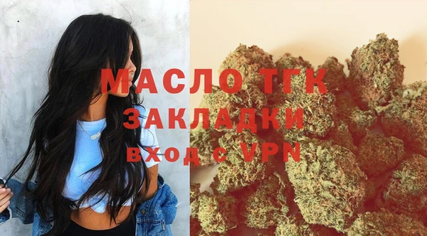 твердый Инсар