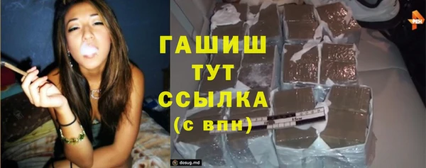 Альфа ПВП Инта