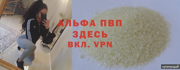 Альфа ПВП Инта