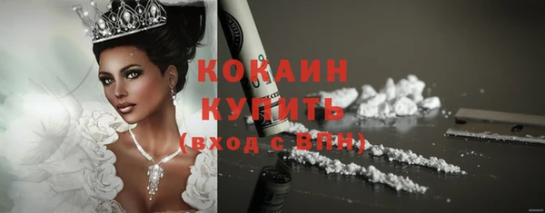 Альфа ПВП Инта