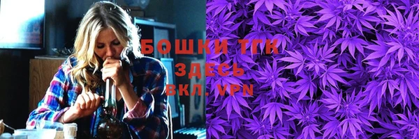 Альфа ПВП Инта