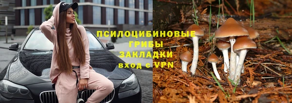 твердый Инсар
