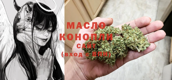 твердый Инсар