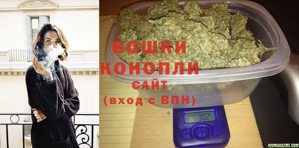 твердый Инсар