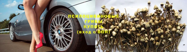 a pvp Иннополис