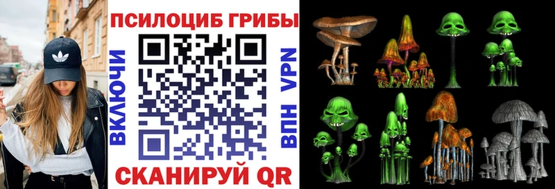 Псилоцибиновые грибы GOLDEN TEACHER Купить закладки Гусь-Хрустальный