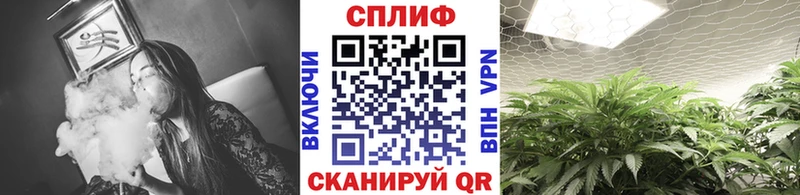 Купить Гусь-Хрустальный Бошки марихуана тримм